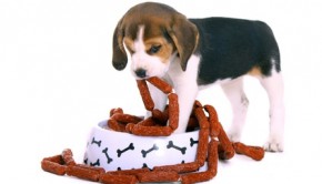 Fotolia_32488977_XS