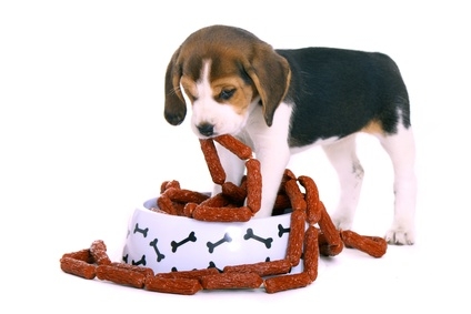 Fotolia_32488977_XS