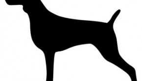 Fotolia_43698158_XS