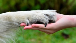 Fotolia_44555919_XS