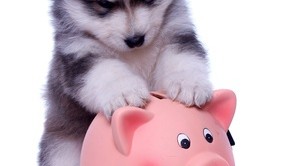 Fotolia_49816831_XS