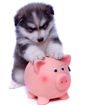 Fotolia_49816831_XS