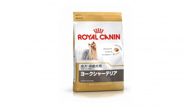 Royal Canin 35121 Breed Yorkshire Terrier