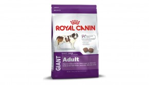 Royal Canin 35246 Giant Adult