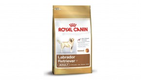 Royal Canin 35298 Breed Labrador Retriever