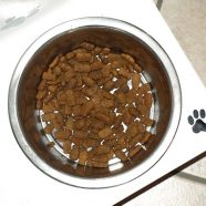 bowl-429231_640