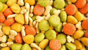 food-3426578_640