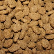 kibble-855419_640