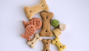 treats-3164687_640