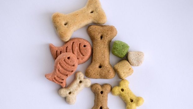 treats-3164687_640