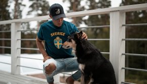 Zecken bei Hunden: Gefahren und Möglichkeiten zum Schutz